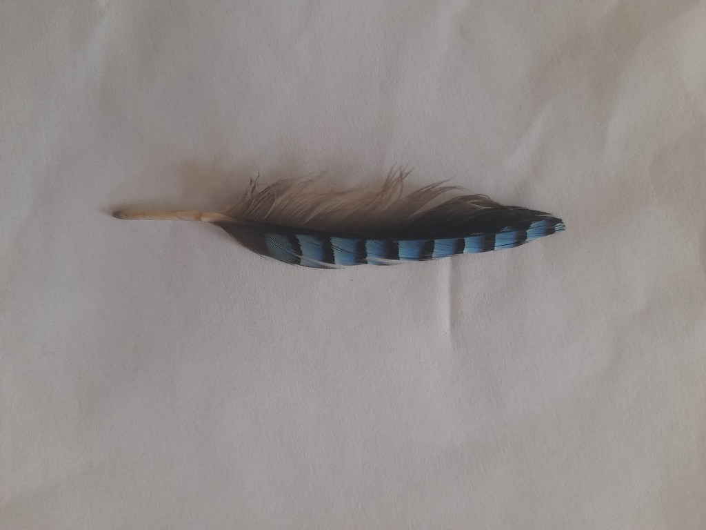 Inspiration post  -Element of&nbsp;Air