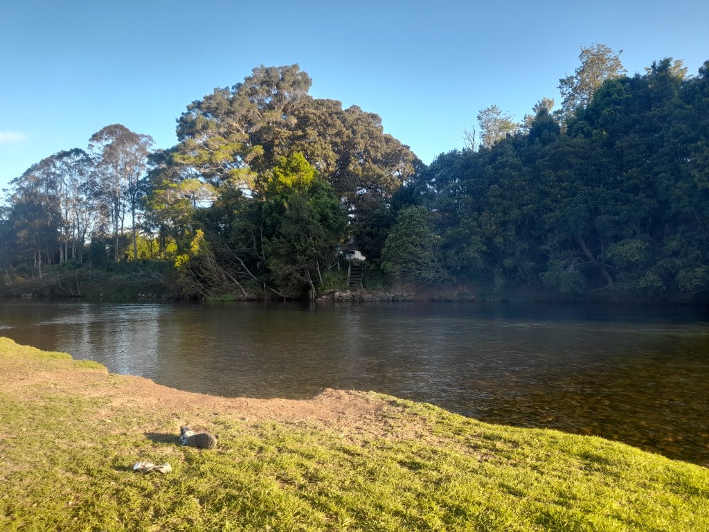 Women’s Internal Power