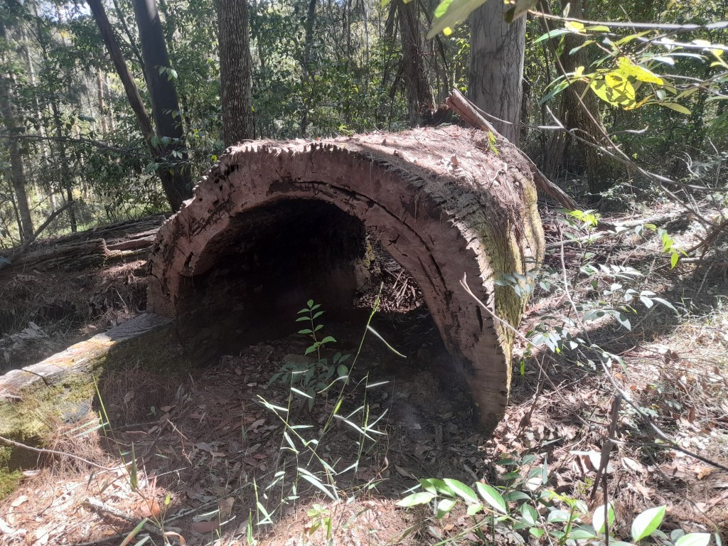 Inspiration post – Element of&nbsp;Earth