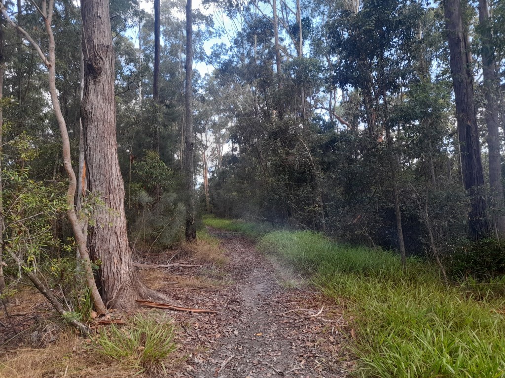 Inspiration post – Gypsy&nbsp;heritage