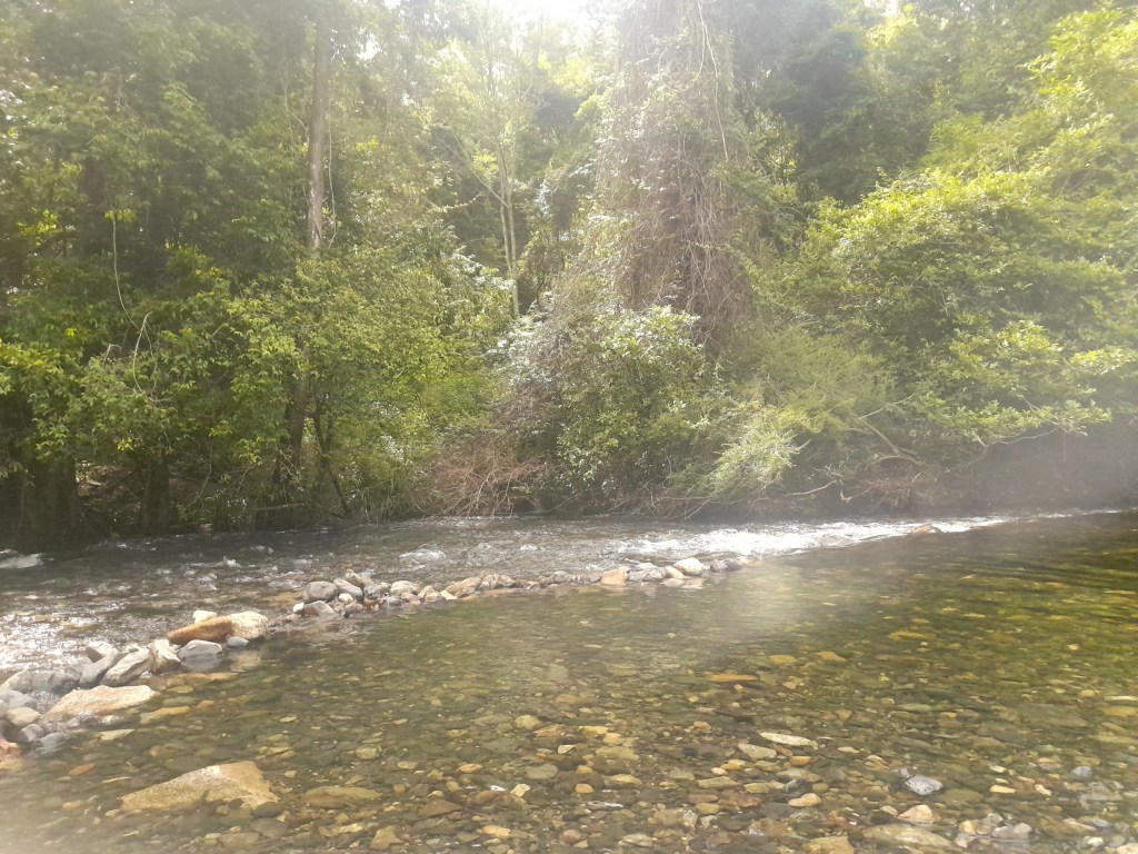 Owning my Behaviour’s