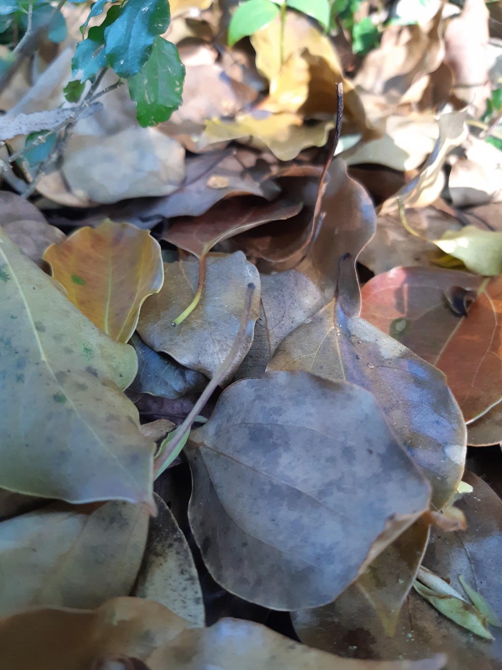 Hanging over the&nbsp;Edge