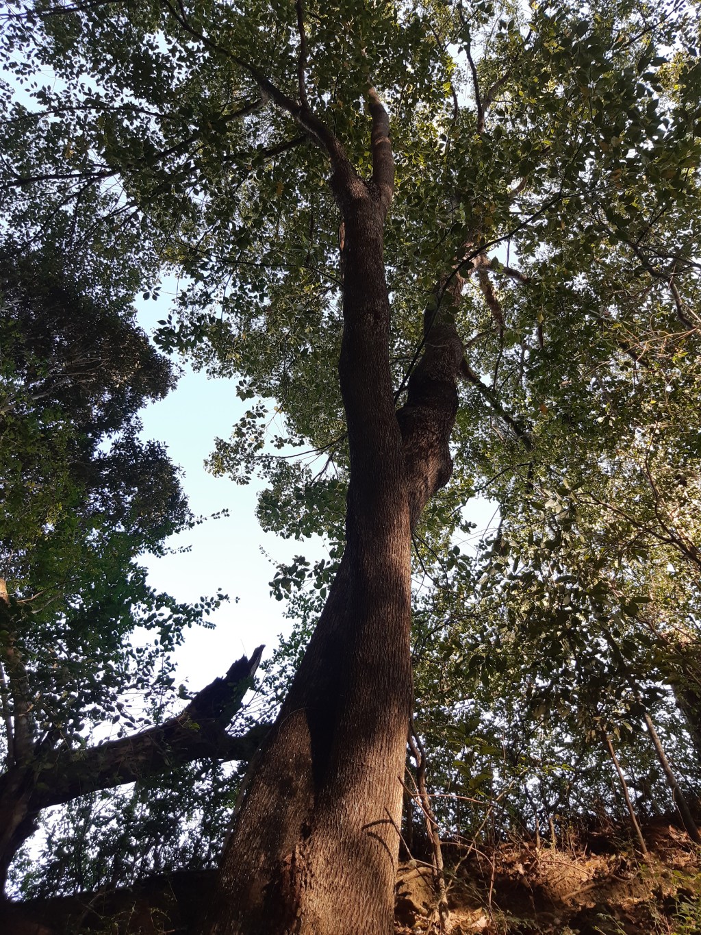 Can I Borrow&nbsp;You?