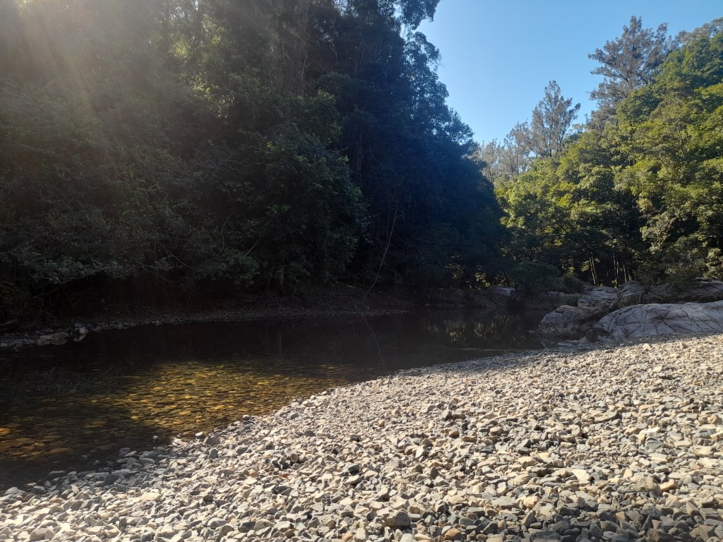 Strength in your&nbsp;Hands.